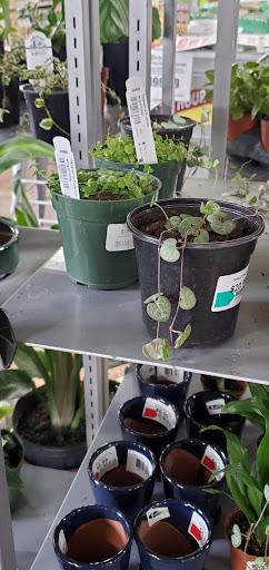 Garden Center «Zamzows Nampa Location», reviews and photos, 1518 Caldwell Blvd, Nampa, ID 83651, USA