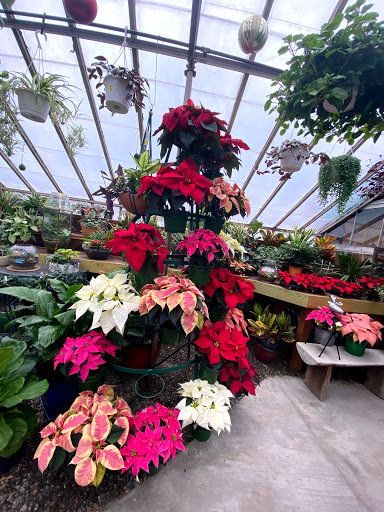 Florist «Sabellico Greenhouses & Florist», reviews and photos, 33 Hillside Lake Rd, Hopewell Junction, NY 12533, USA