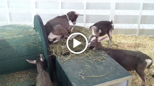 Fairground «Dutchess County Fairgrounds», reviews and photos, 6550 Spring Brook Ave, Rhinebeck, NY 12572, USA