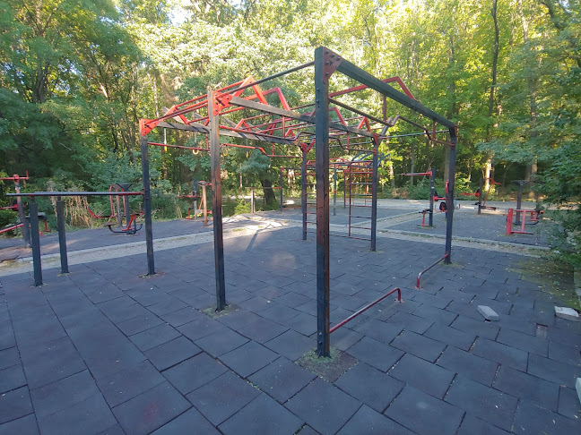 Отзиви за Фитнес на открито Западен парк в София - Фитнес зала