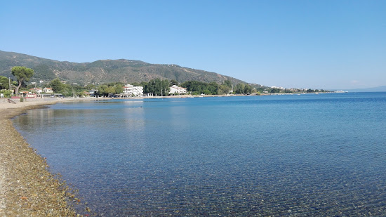 Maounis beach