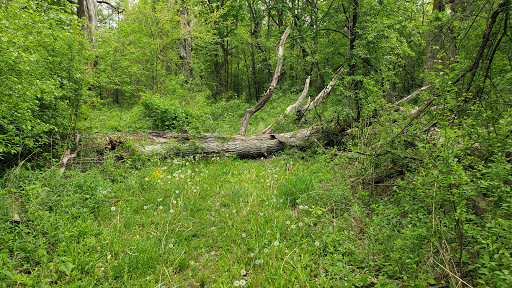 Nature Preserve «Penny Road Pond», reviews and photos, Penny Rd, Barrington, IL 60010, USA