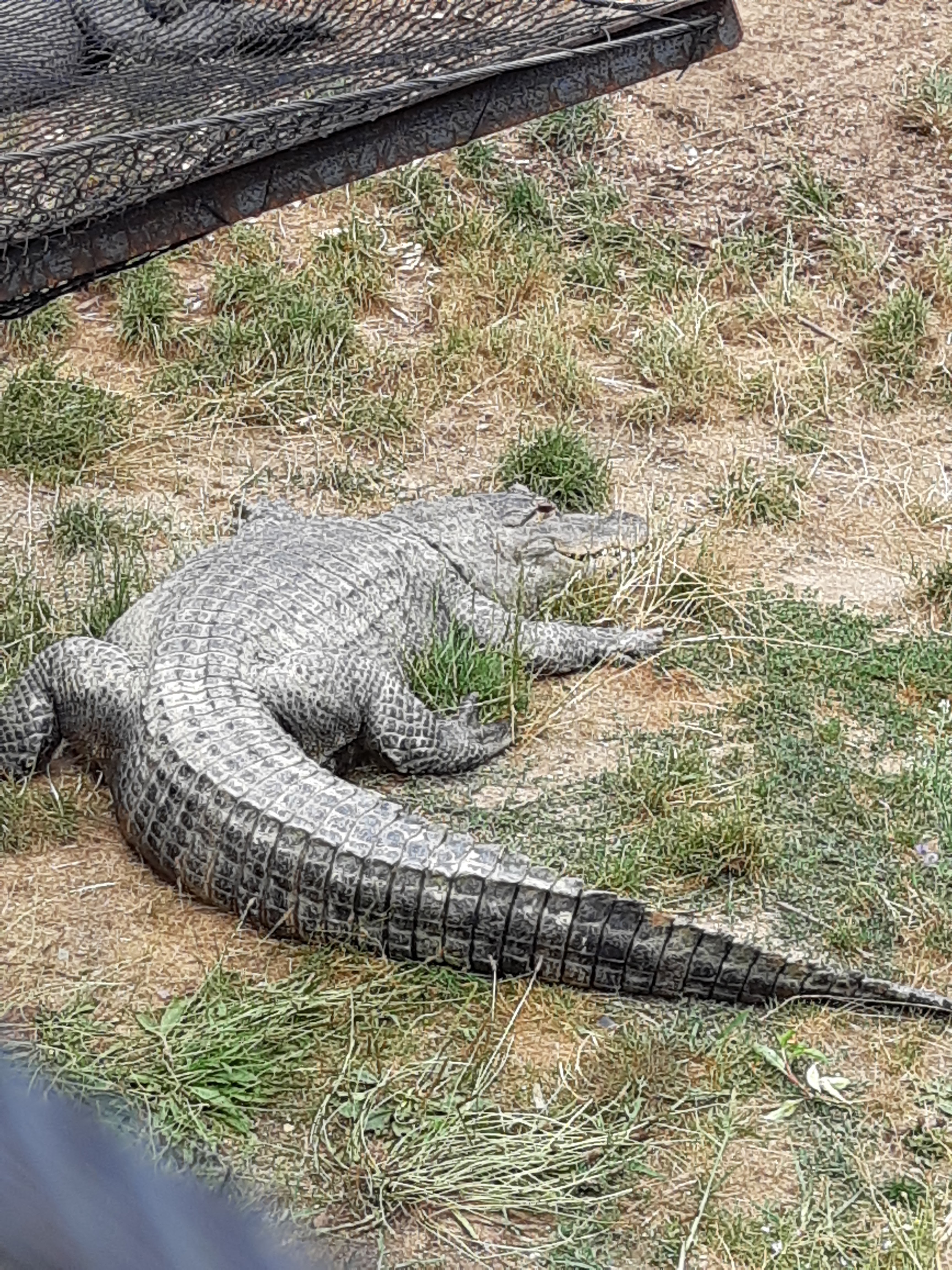 Photo n° 1 de l'avis de josette.h fait le 24/07/2018 à 09:26