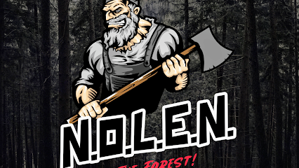 NOLEN in the forest
