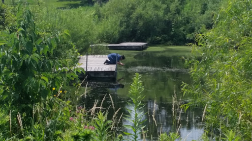 Nature Preserve «Volo Bog», reviews and photos, 28478 W Brandenburg Rd, Ingleside, IL 60041, USA