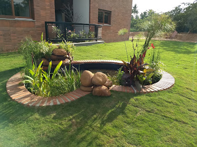 Google Maps image 27