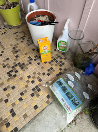 Santos Janitorial Service - Photo 5 - Car repair in Seaside, CA, Seaside