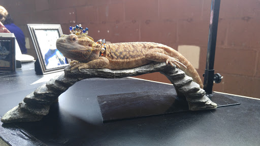 Event Venue «Lamar Dixon Expo Center», reviews and photos, 9039 S St Landry Ave, Gonzales, LA 70737, USA