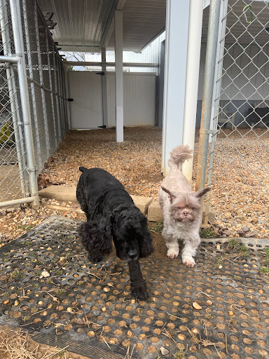 Pet Retreat At Paramount Farms