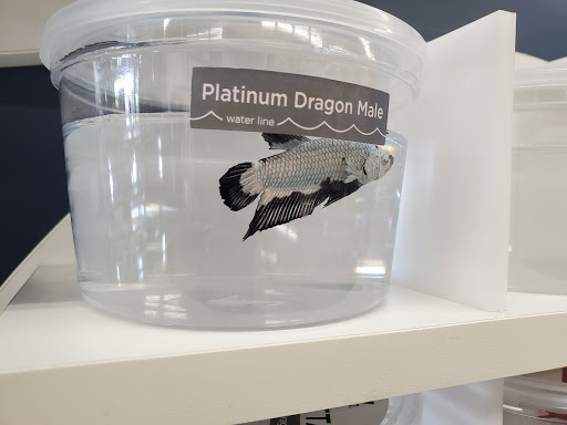 Pet Supply Store «Petco Animal Supplies», reviews and photos, 3454 Palmer Dr #7a, Cameron Park, CA 95682, USA