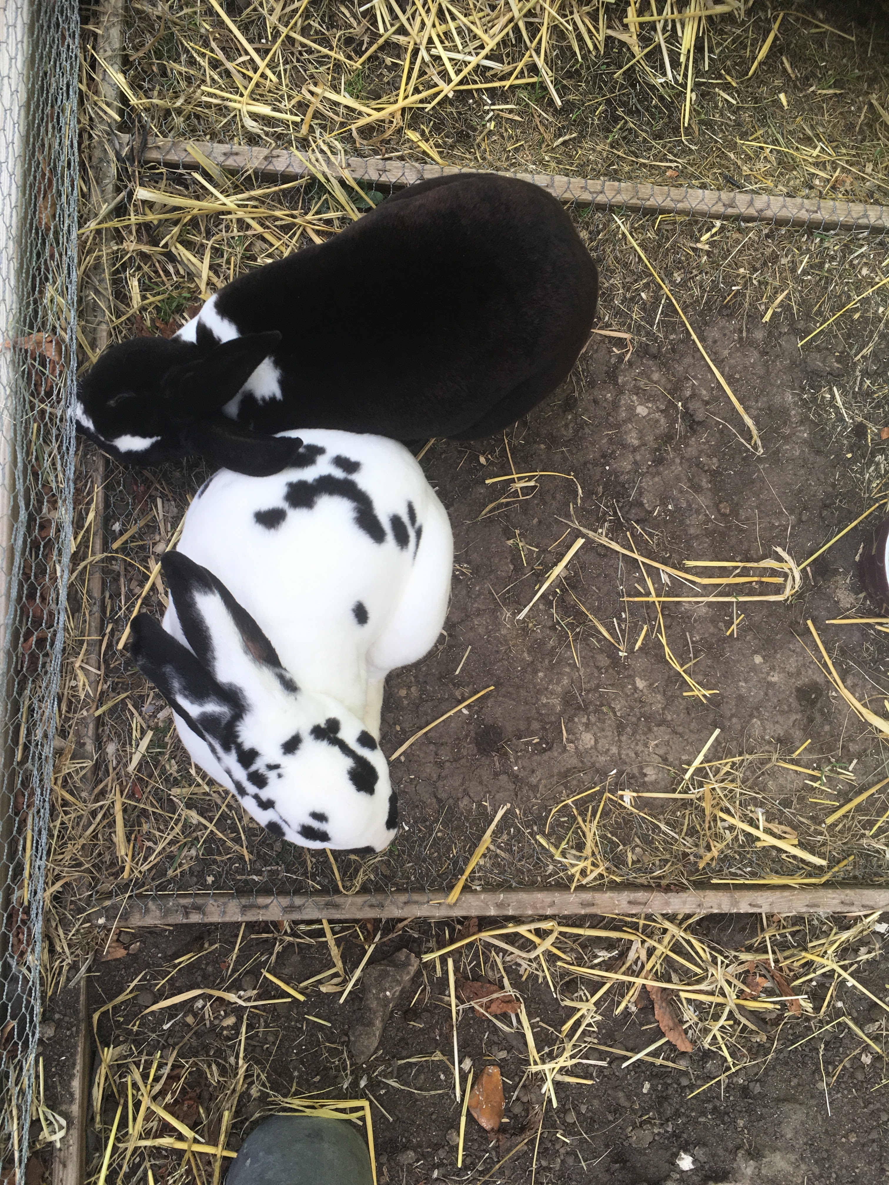 Photo n° 4 de l'avis de Sandra.i fait le 30/10/2018 à 11:43
