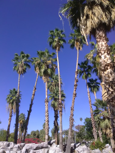 Park «Encanto Park», reviews and photos, 2605 N 15th Ave, Phoenix, AZ 85007, USA