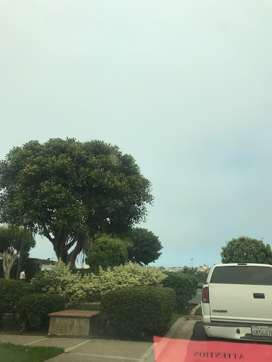 Kia Dealer «Car Pros Kia Huntington Beach», reviews and photos, 18835 Beach Blvd, Huntington Beach, CA 92648, USA