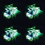 Photo n°3 de l'avis de Inaara. fait le 02/07/2019 à 01:34 sur le  Wimsener Höhle (Tress Gastronomie GmbH & Co. KG) à Hayingen