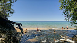 Chapel Beach'in fotoğrafı vahşi alan