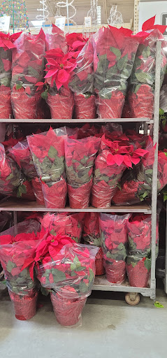 Home Improvement Store «The Home Depot», reviews and photos, 1000 Thornton Rd, Lithia Springs, GA 30122, USA