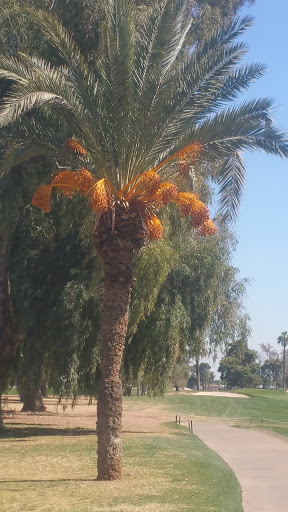 Golf Course «Grand Canyon University Golf Course», reviews and photos, 5902 W Indian School Rd, Phoenix, AZ 85033, USA