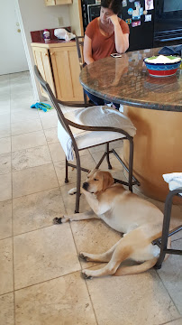 Sew Perfectly - Photo 5 - Car repair in Tucson, AZ, Tucson