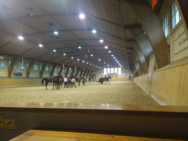 Rezensionen über Schweizerischer Verband für Pferdesport in Bern - Sportstätte