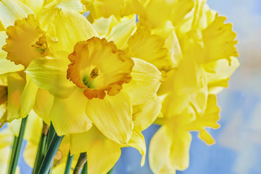 Florist «Fortin Gage Flowers & Gifts», reviews and photos, 86 W Pearl St, Nashua, NH 03060, USA