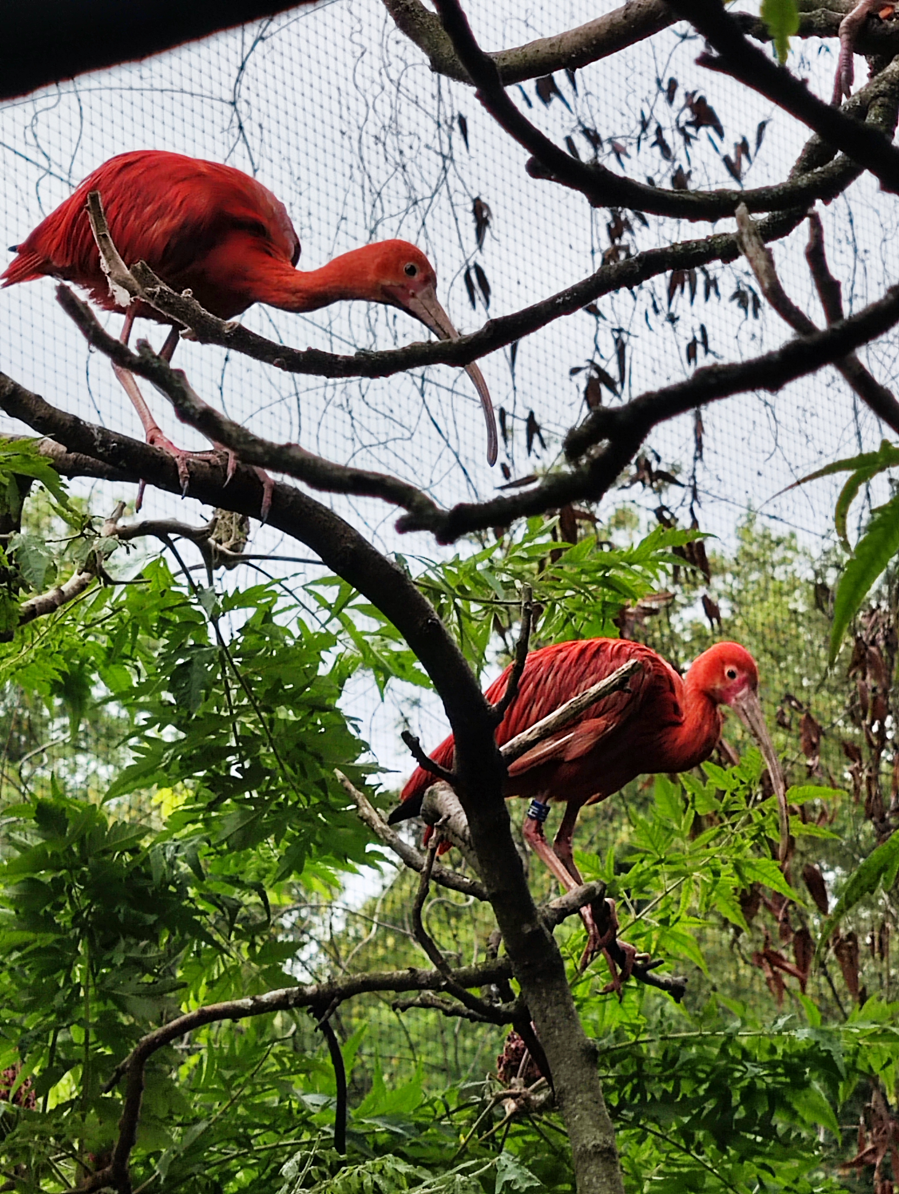 Photo n° 8 de l'avis de Aurelie.o fait le 03/08/2023 à 21:29