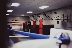 Performance Combat MMA image