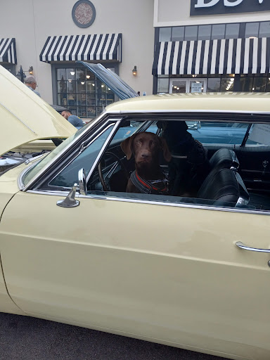 Shoe Store «DSW Designer Shoe Warehouse», reviews and photos, 19500 Plummer St, Northridge, CA 91324, USA