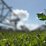 Photo n°2 de l'avis de asif.l fait le 19/05/2023 à 13:49 sur le  Chiosco Joe Bar à Canino