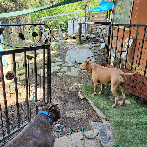 Placerville Dog House