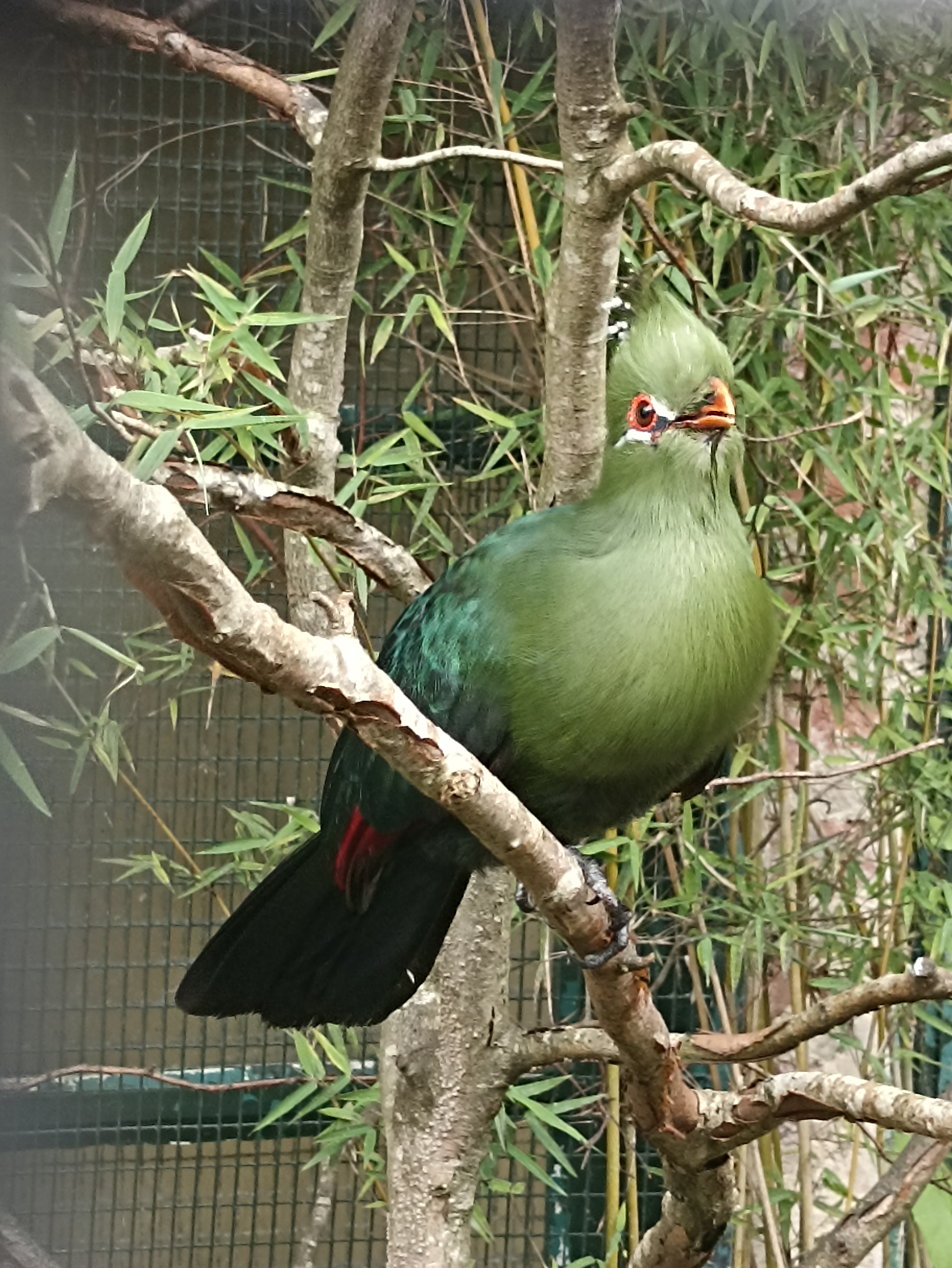 Photo n° 11 de l'avis de INGRID.. fait le 01/05/2023 à 21:03