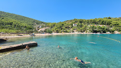 Gornja Krusica beach'in fotoğrafı kirli temizlik seviyesi ile