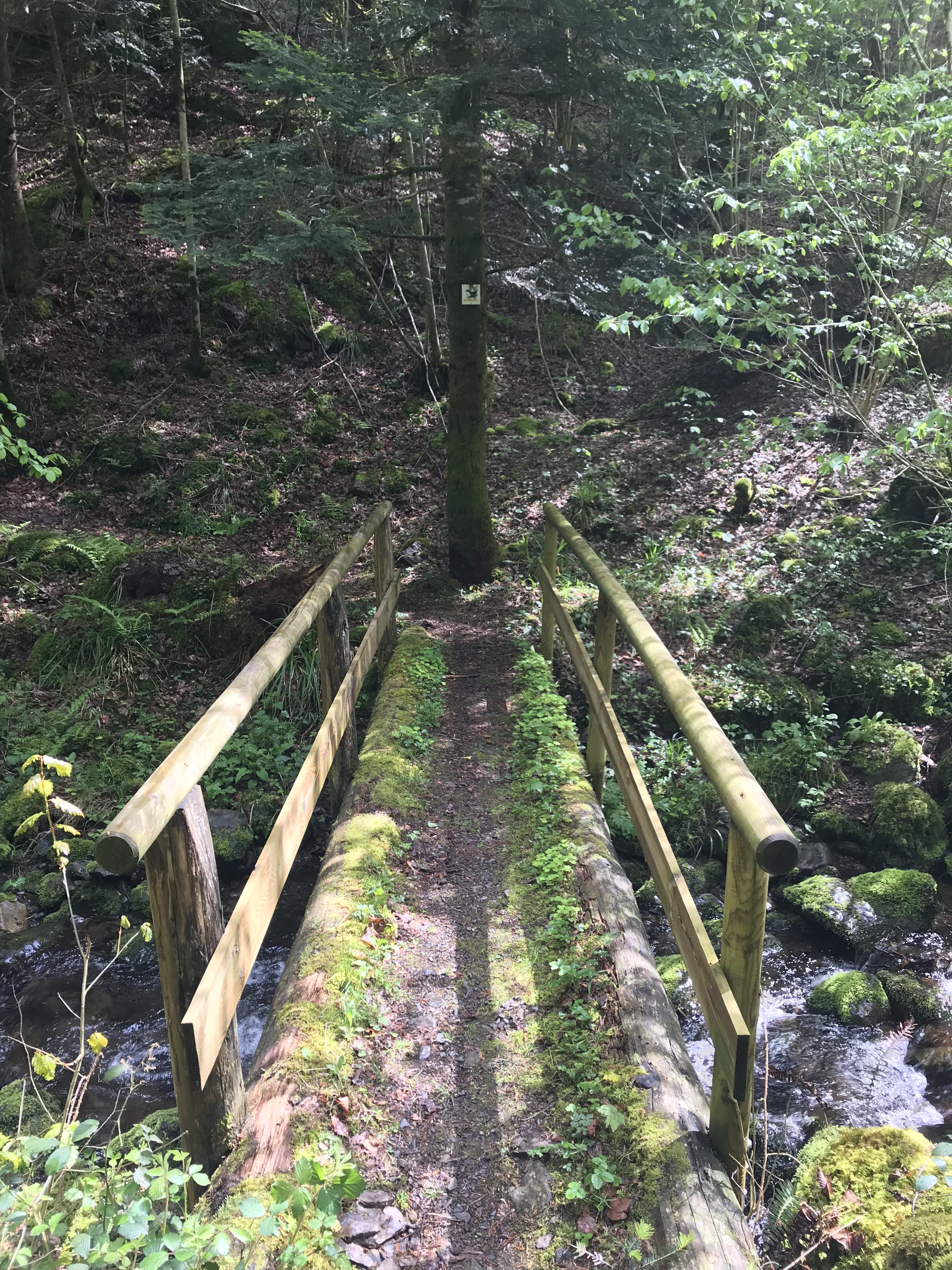 Photo n° 3 de l'avis de Ulf.. fait le 17/05/2019 à 20:57