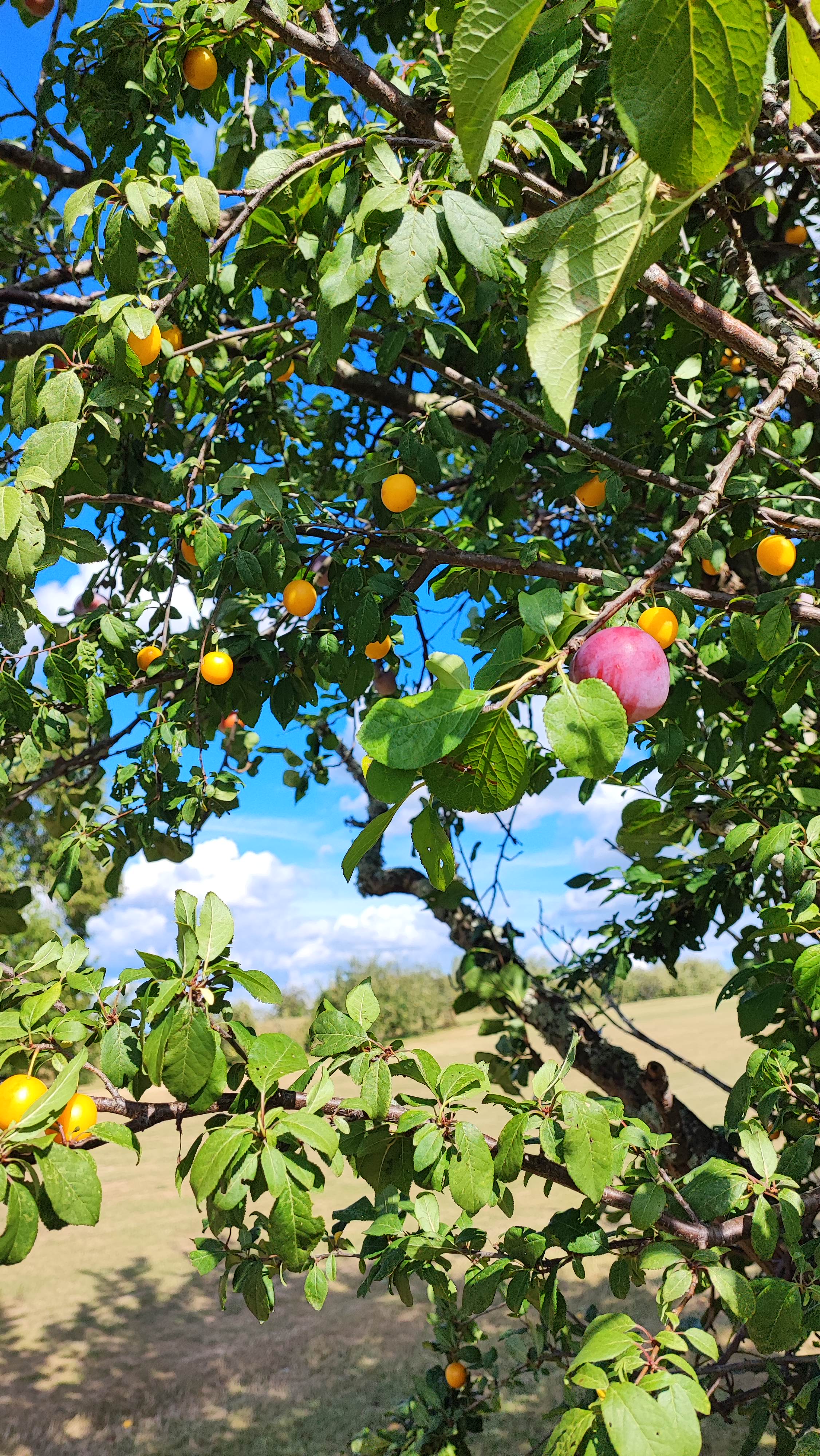 Photo n° 2 de l'avis de CLAUDE.A fait le 06/08/2023 à 09:49