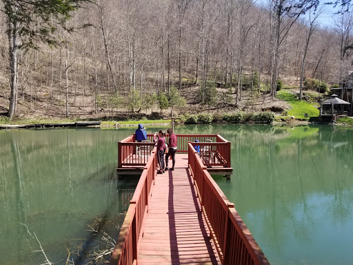 National Forest «Pisgah National Forest», reviews and photos, 1600 Pisgah Highway, Nebo, NC 28761, USA