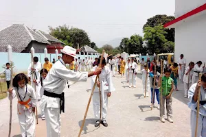 SANJU MARTIAL ARTS SCHOOL OF INDIA image