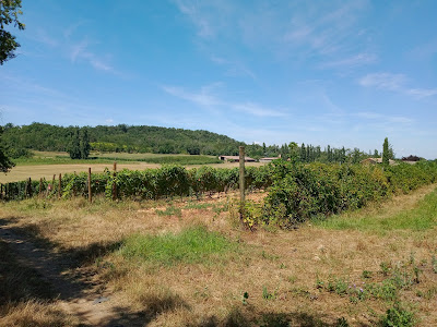 Clos Fougères à Châteauneuf-sur-Isère