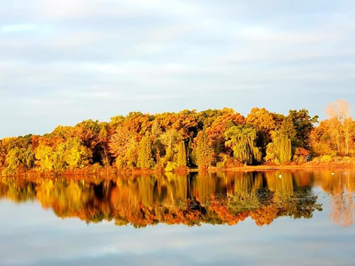 Coffee Shop «RoosRoast Coffee», reviews and photos, 1155 Rosewood St b, Ann Arbor, MI 48104, USA