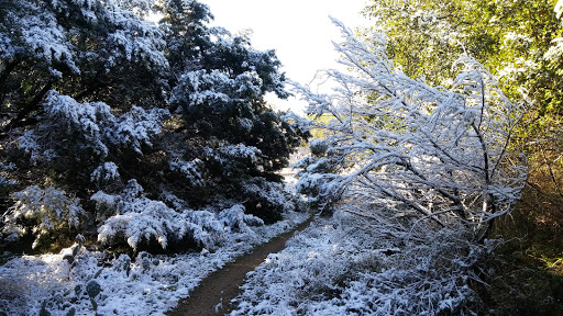 Car Wash «H20 Hand Car Wash & Detail», reviews and photos, 7711 Brodie Ln, Austin, TX 78745, USA