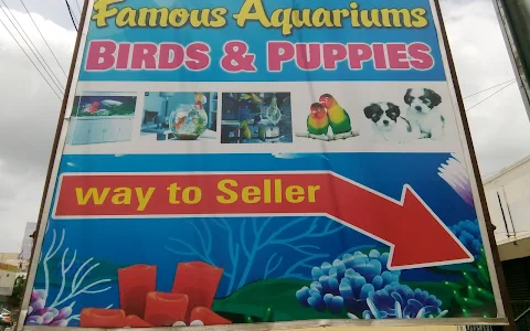 Famous Aquariums Birds And Puppies image