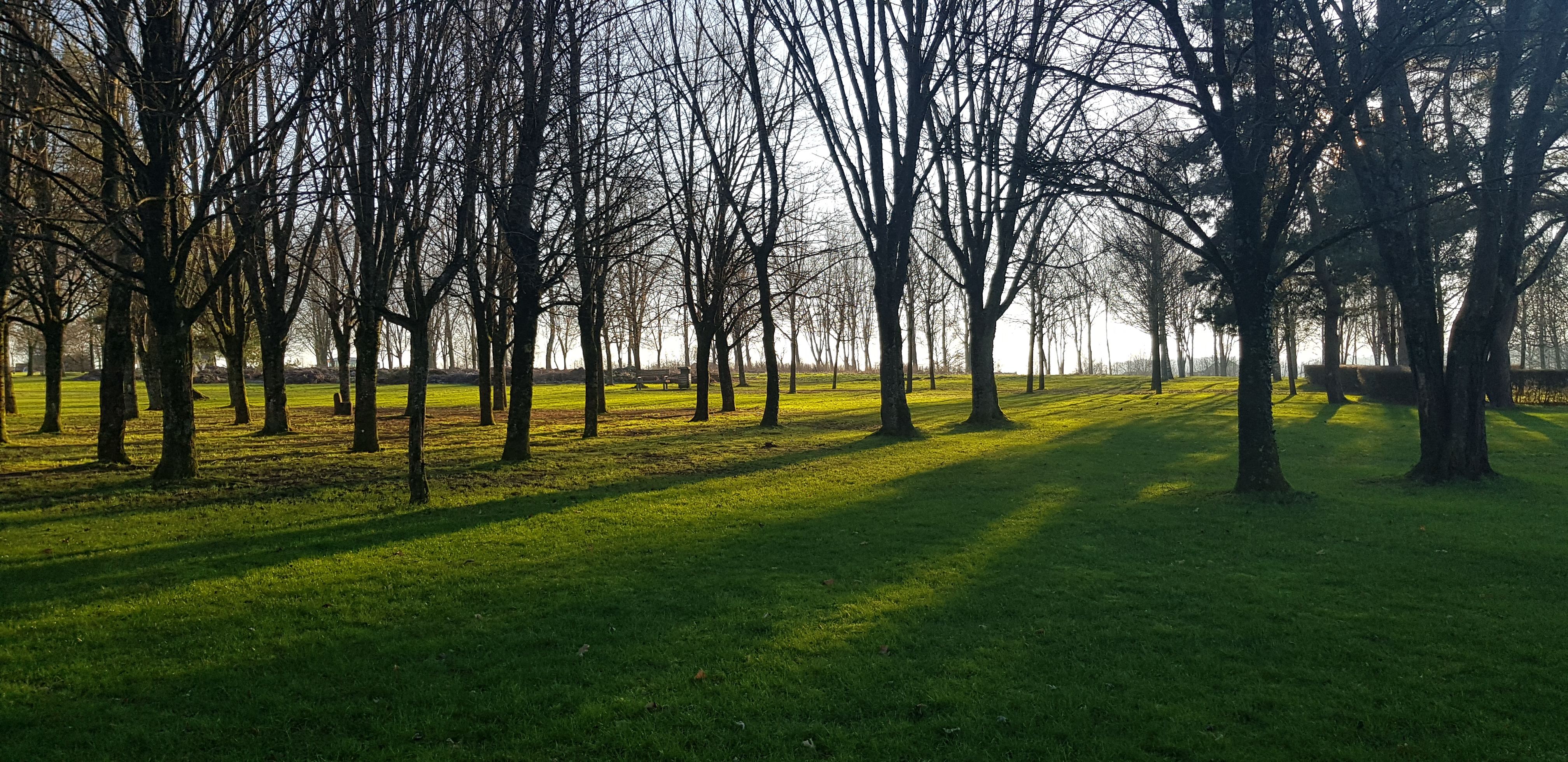 Photo n° 15 de l'avis de R.a fait le 30/12/2019 à 14:49