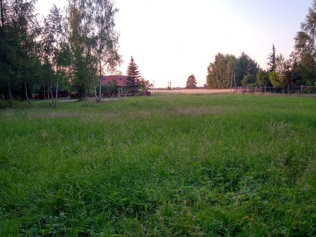 Comentarii opinii despre Willa Ostoja