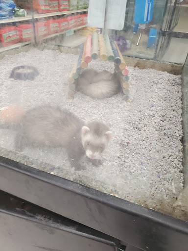 Pet Store «Feeders Supply», reviews and photos, 229 E Lewis and Clark Pkwy, Clarksville, IN 47129, USA