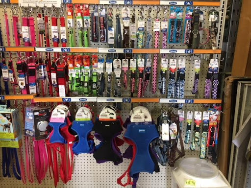 Pet Store «The Pet Shop», reviews and photos, 2235 S Power Rd #107, Mesa, AZ 85209, USA