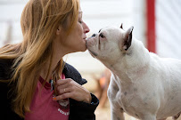 Miss Kitty's Dog Resort - Photo 2 - Car repair in Nashville, TN, Nashville