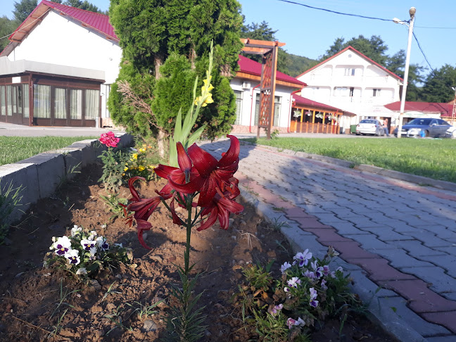 Pensiunea Izvorul Rece