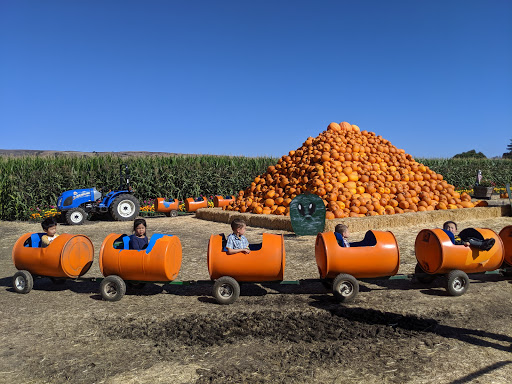 Pumpkin Patch «Spina Farms», reviews and photos, Santa Teresa Blvd, Morgan Hill, CA 95037, USA