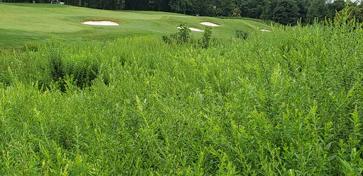 Golf Course «Laurel Hill Golf Club», reviews and photos, 8701 Laurel Crest Dr, Lorton, VA 22079, USA