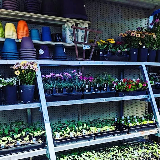 Hardware Store «San Andres Hardware», reviews and photos, 635 W Micheltorena St, Santa Barbara, CA 93101, USA