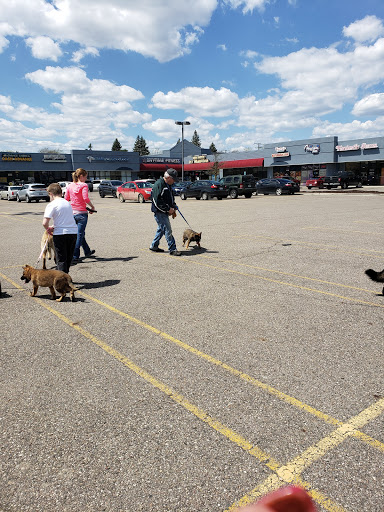 Pet Store «Feed Rite Pet Shop & Supply», reviews and photos, 11760 Belleville Rd, Belleville, MI 48111, USA