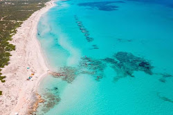 Photo de Ghabana beach zone sauvage